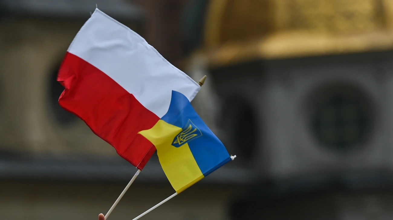 Опитування IBRiS: Польща зафіксувала 67,2% підтримки депортації українських чоловіків без роботи